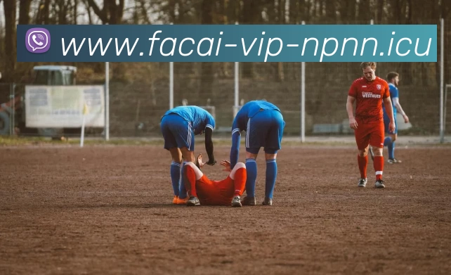 爱游戏体育注册APP 封面图